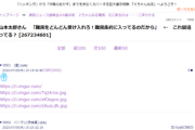 パヨスレ主、今日もお人形さんゴッコ　⇒右派「旅券で飛行機乗る難民はいない。本物は鮨詰め船で来る?」それこそ不法入国者だろw