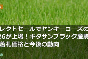 セレクトセールでヤンキーローズの2026が上場！キタサンブラック産駒の落札価格と今後の動向