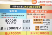 日本政府､｢全国旅行支援｣の開始を9月まで延期　県民割は8月末まで延長