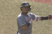 12球団現役ドラフト組の現状成績