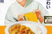 共産党議員ら「ボンカレー」思わせる画像利用w大塚食品「一切関与していない」...党関係者が謝罪ﾗｯｼｭ