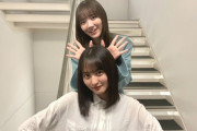 【乃木坂46】おい、顔の大きさの差ｗｗｗｗｗ