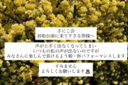 つばきファクトリー 秋山眞緒の今後の活動に関するお知らせ