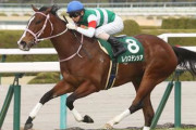 【競馬予想】[2]第16回ヴィクトリアマイル(G1) /2021