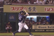西武マキノン（年俸9000万　.259 15 48 ops.731）←当たりかハズレかで意見が真っ２つに分かれる