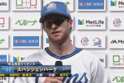 西武スパンジー 出塁率.328 長打率.516 OPS.844