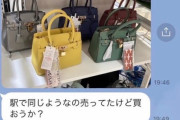 【悲報】弱者男性さん「バーキンに似てるバッグが2990円で売ってた！買おうか？」