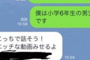 悪徳業者からのLINEに返事した結果ｗｗｗ（※画像あり）