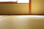 【画像】めっちょでかいクモいた件