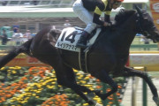 【競馬】サトノフラッグ 戸崎に戻る…