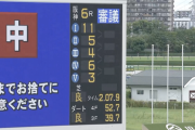 月曜阪神6Rの審議
