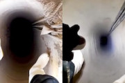 閉所恐怖症注意。深い縦穴に吊るされた状態で下りていく作業員の動画。