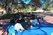【動画】祈りvs祈り。公園で礼拝するイスラム教徒に挑んだキリスト教徒。