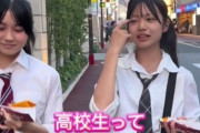 【画像】陽キャJK「高校生って、絶対に人生で一番楽しいピークじゃないですか！」←これｗｗｗｗ