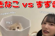 【鈴木瞳美】きなこ vs すずき　～ 年明け ゴミ箱バトル！ お正月から何やってんのｗ ～