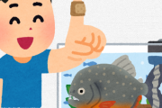 ピラニアに入り水槽に指30秒入れれたら50万