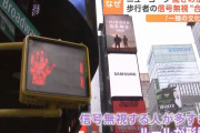 ニューヨークで歩行者の信号無視が「合法」に…無視する人が多すぎて！