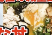 【悲報】人気YouTuber・竹脇まりなさんが「まりな丼」という料理を作る→「北岡悟丼のパクリだ！」と格闘技オタクがブチギレ→謝罪