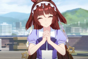 【ウマ娘】貴方の苦労をずっと見ていましたよ…！