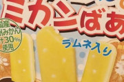 【画像】「こういうのでいいんだよアイス」、発見される