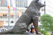 忠犬ハチ公に疑惑判明！　渋谷駅で待っていたのは帰らぬ主人ではなく酔っ払いからのエサ目的だった可能性が浮上　関係者が証言