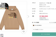 【画像あり】ノースフェイスとグッチがコラボアイテムを販売開始