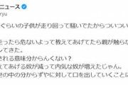 【激怒】へずまりゅう、電車内で走り回る子供に注意も親がブチギレ「触らないで下さい」