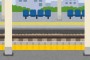 【悲報】奈良市職員の陽キャさん、駅のホームで走り幅跳びしてしまうｗｗｗｗｗｗ