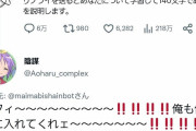 【画像】Twitterの人工知能さん、アニメアイコンにとんでもない誹謗中傷を送ってしまう・・・・