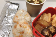 【画像】おれの100%手作り弁当