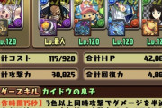【パズドラ】ワンピに20万課金、今年は課金しなくてもいいぐらい引き時だったな