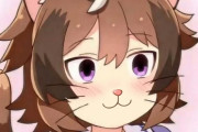 【ウマ娘】もうだめ猫のコース中距離は完全にセイちゃんの庭なのだ…。