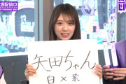 矢田萌華 ｢サイリウム無い方はきりたんぽ持っていただいて！｣【乃木坂46】