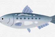 【悲報】なんG民さん「イワシみたいな日本人は食べないはずの魚がスーパーで売ってる」