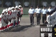 ７月29日全国高校野球地方大会結果