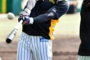 超・指定強化選手だ　阪神・佐藤輝明にキャンプで課せられる２種類の〝ティー打撃〟とは