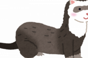 フェレット飼ってる奴って猫飼ってる人や猫好きに妙に対抗意識がある人が多い。私は少し変わったペット飼ってる自負があるのか、人と違う事を主張しがちだし…
