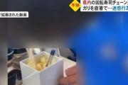 【悲報】はま寿司ガリ直食いくん、マッマが謝罪ｗｗｗｗｗｗｗ