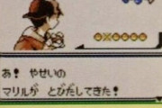 ポケモン攻略本「あ！マリルだ！でも喜ぶのは捕まえてからにしろ（豹変）」