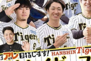 阪神さん「プロ野球ai」に特集を組まれてしまう