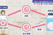 女性の間で卵子凍結ブーム