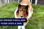 海外「なりきりなんだし、幸せそう！」「リアクションに困る！？」日本で200万円かけて犬に変身した男性が話題に