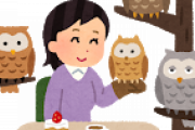 フクロウ買うけど気を付けることある？