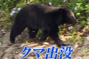 【岩手】露天風呂の清掃をしていた男性が行方不明　現場には血痕　クマに襲われたか
