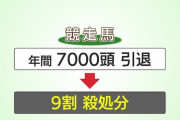 引退した競走馬 「多くが廃用となり、馬肉として動物用の餌など食用に…」　年間7千頭が生産され、余生を過ごせるのは一部