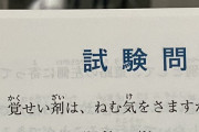 仮免試験「お酒を飲んで運転してはいけませんが・・・」彡(^)(^)「そらそうやろ」