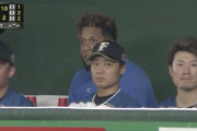 日ハム高校野球同好会のファン
