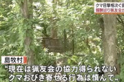村議会「猟友会さん！熊退治は年間最大240万で一括受けして」 猟友会「いやです」