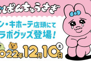 「おぱんちゅうさぎ×ドンキ」なりきりアパレル展開…だと！？「アツすぎる」