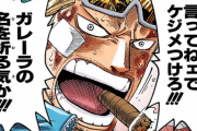 【ONEPIECE -ワンピース】ジンベエよりこいつが仲間になるべきだったろってキャラｗｗｗｗｗ